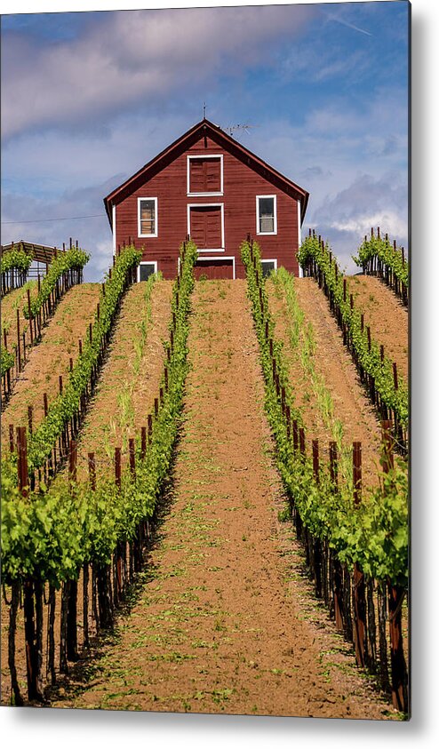 Scenics Metal Print featuring the photograph Exploring Californias Sonoma County by George Rose