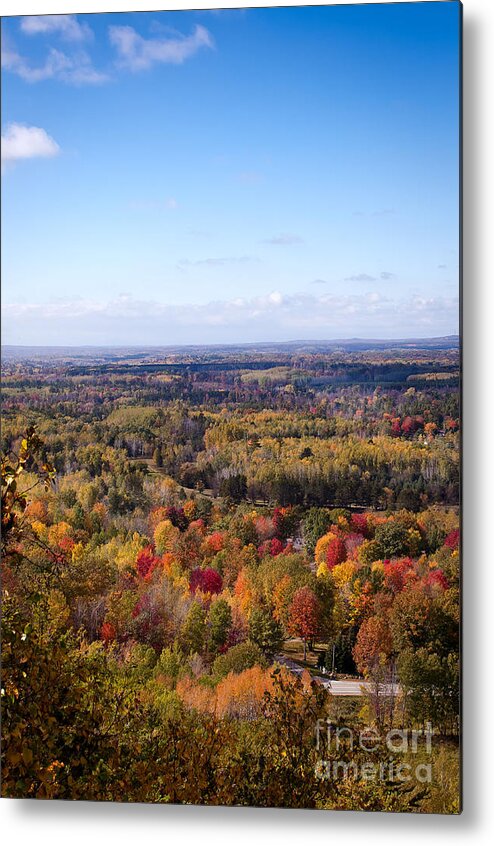 Fall Colors Metal Print featuring the photograph Fall Colors by Gwen Gibson
