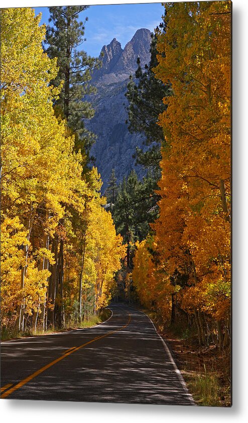 Aspen Metal Print featuring the photograph Fall Colors in the Eastern Sierra Nevada by Steve Wolfe