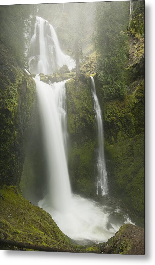 Feb0514 Metal Print featuring the photograph Falls Creek Falls Gifford Pinchot Nf by Kevin Schafer