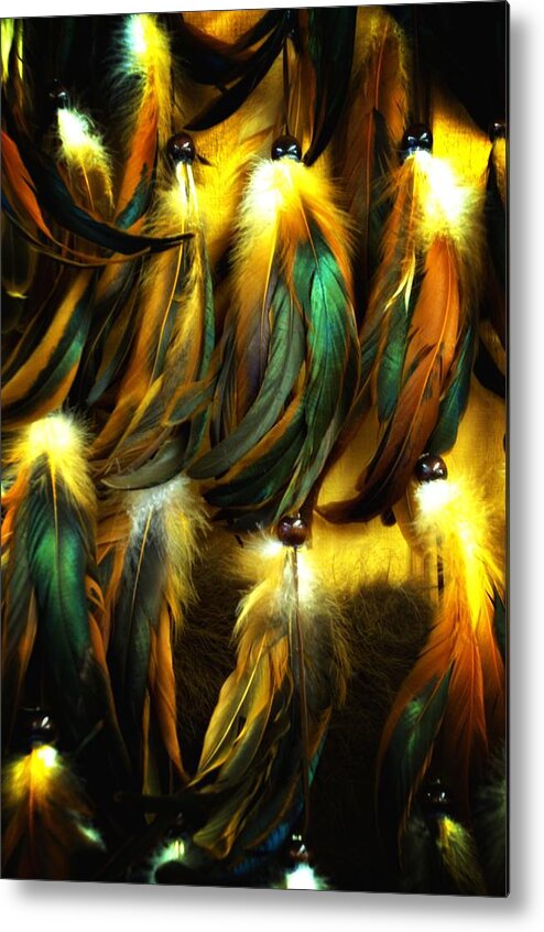 Newel Hunter Metal Print featuring the photograph Feather Dancers by Newel Hunter