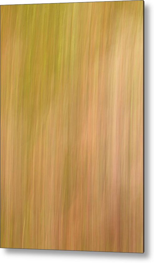 Abstract Metal Print featuring the photograph Field of Grass by Steve DaPonte