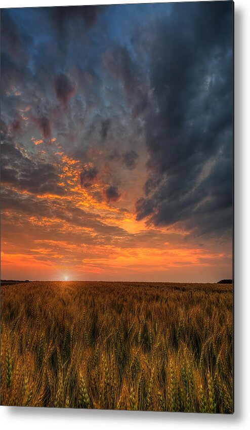 Fire In The Sky Metal Print featuring the photograph Fire In The Sky by Nebojsa Novakovic