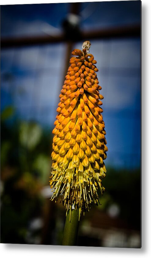 Fire Metal Print featuring the photograph Fire Poker by Joel Loftus