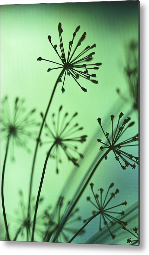 Blumwurks Metal Print featuring the photograph Firing Neurons by Matthew Blum