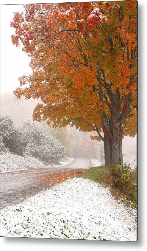first Snow Metal Print featuring the photograph First Snow by Butch Lombardi