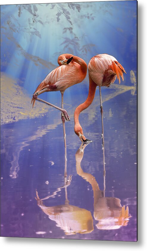 Bird Metal Print featuring the photograph Flamingo Fantasy Lights by Bill and Linda Tiepelman