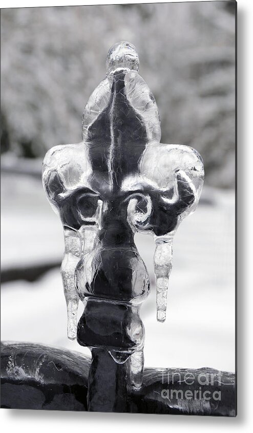 Fleur De Lis Metal Print featuring the photograph Fleur-de-lis On Ice by Sarah Schroder