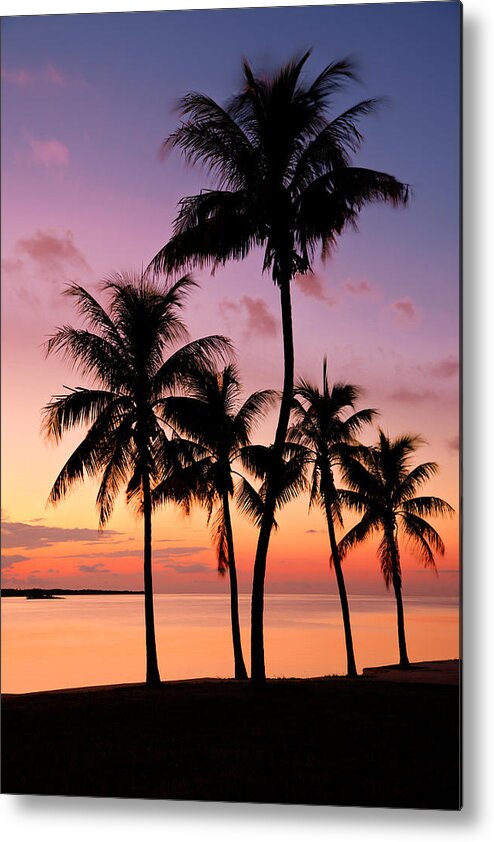 Sunset Metal Print featuring the photograph Florida Breeze by Chad Dutson