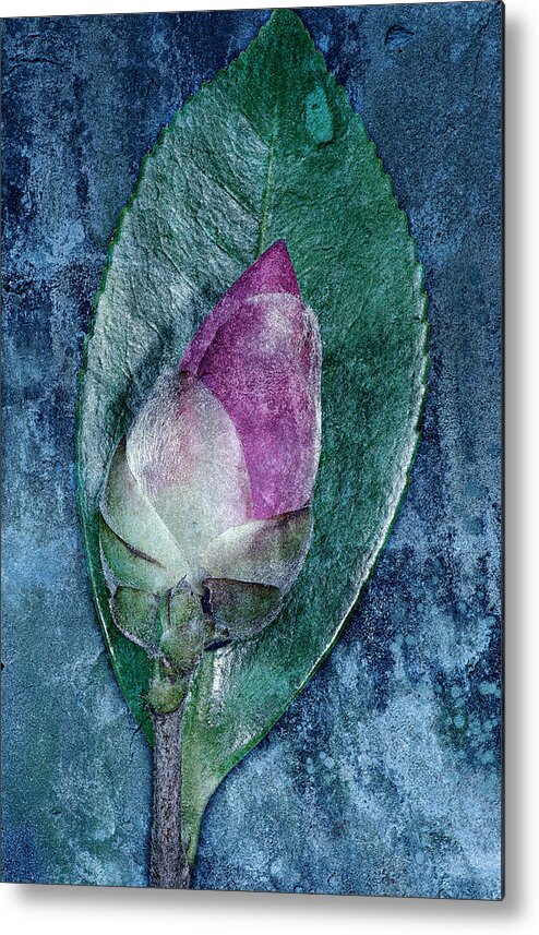 Bud Metal Print featuring the photograph Flower bud by Russell Brown