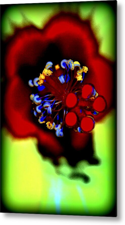 Hibiscus Metal Print featuring the photograph Flower With'in by Kathy Sampson