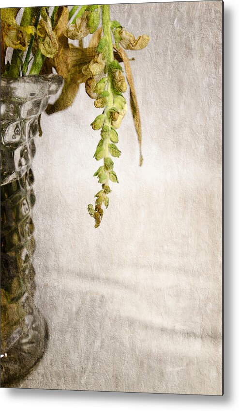 Flower Metal Print featuring the photograph Flowers Falling by Crystal Wightman