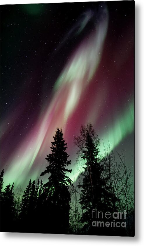 Northern Light Metal Print featuring the photograph Flowing Colours by Priska Wettstein