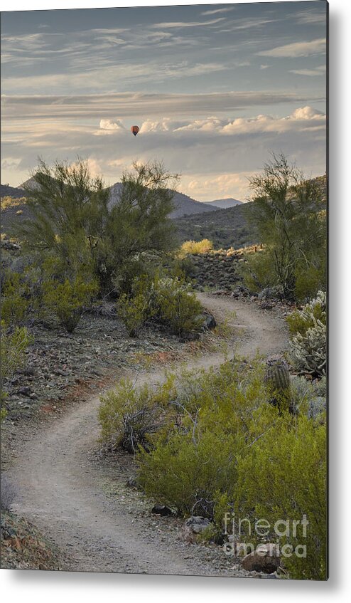 Desert Metal Print featuring the photograph Flying Above The Desert by Tamara Becker