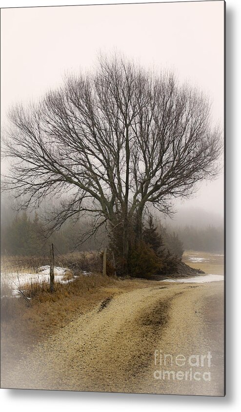 Fog Metal Print featuring the photograph Fog And Snow by Barbara Dean