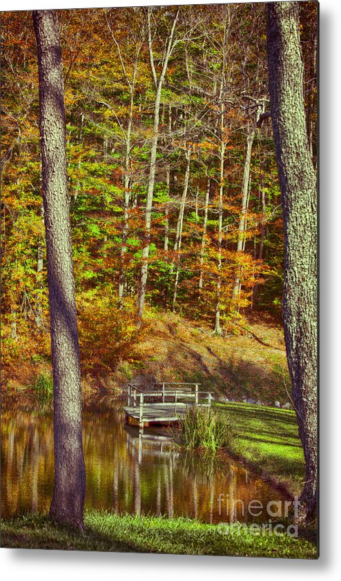 Autumn Forest Metal Print featuring the photograph Framed Autumn View Seven Springs by Douglas Barnard