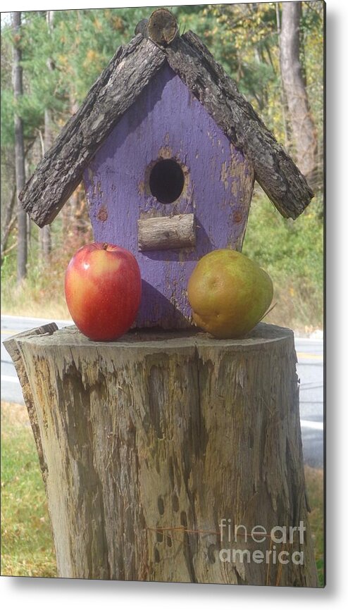 Apple Metal Print featuring the photograph Fruity Home? by Christina Verdgeline
