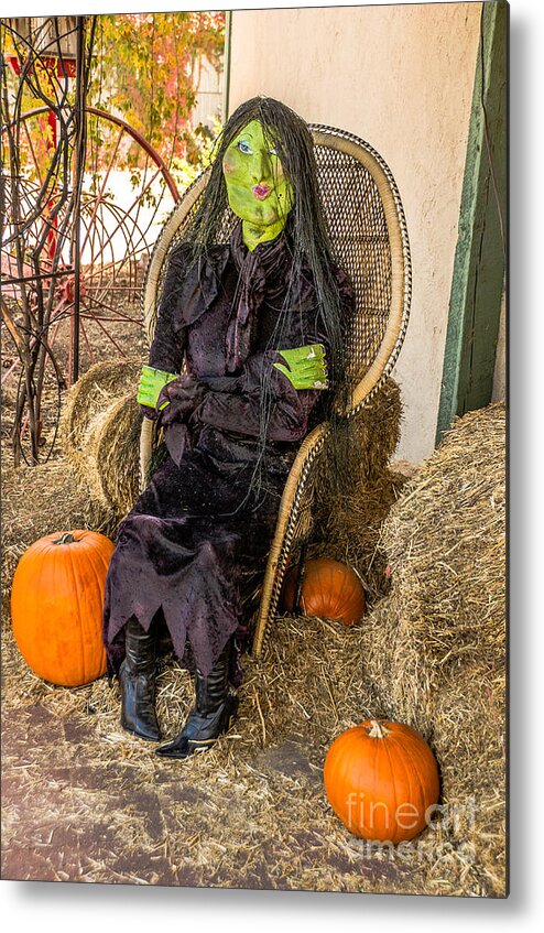 Halloween Metal Print featuring the photograph Give Me A Kiss by Sue Smith