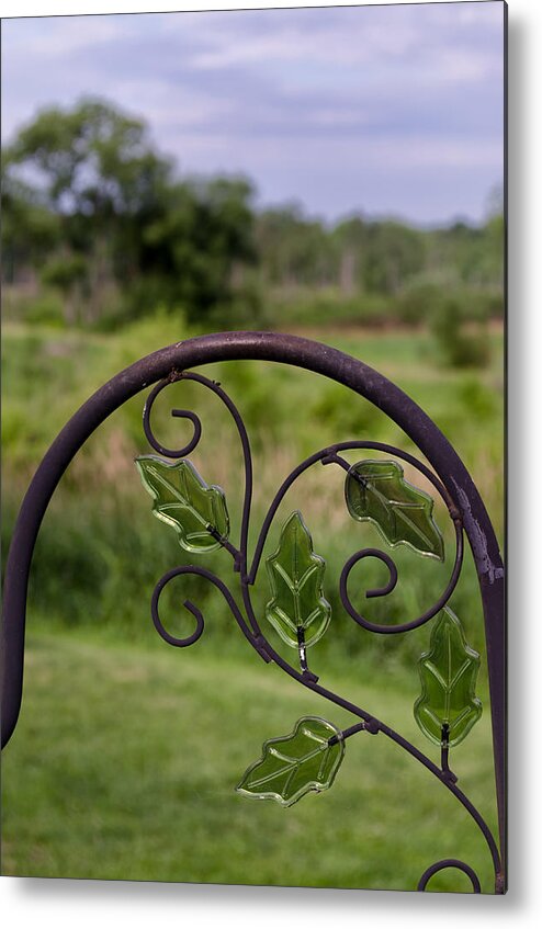 Glass Metal Print featuring the photograph Glass Leaves by Jim Shackett