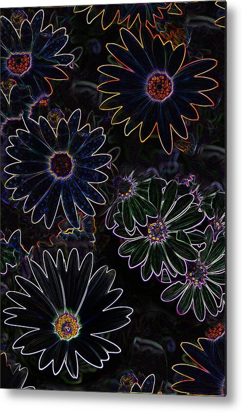 Flowers Metal Print featuring the photograph Glowing Daisies by Jim Baker