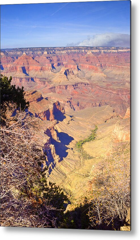  Metal Print featuring the photograph Grand Canyon 41 by Douglas Barnett