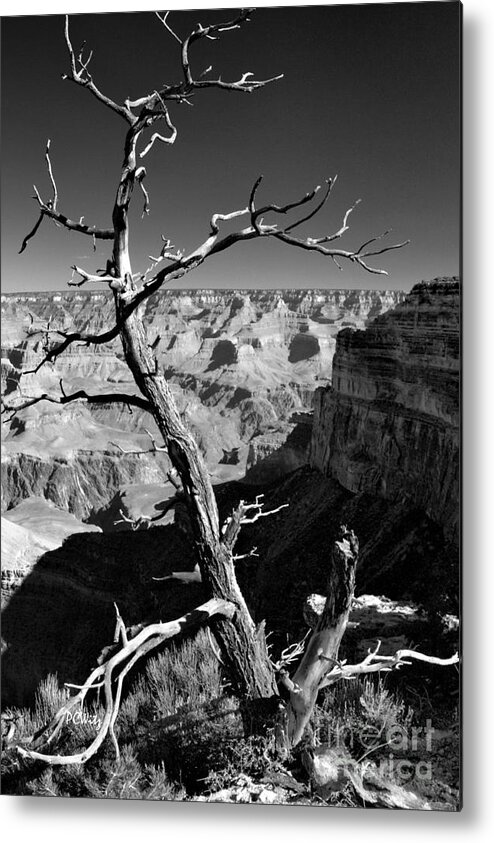 Grand Canyon Bw Metal Print featuring the photograph Grand Canyon BW by Patrick Witz