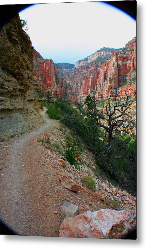 Grand Canyon Metal Print featuring the photograph Grand Canyon or Bust by Jon Emery