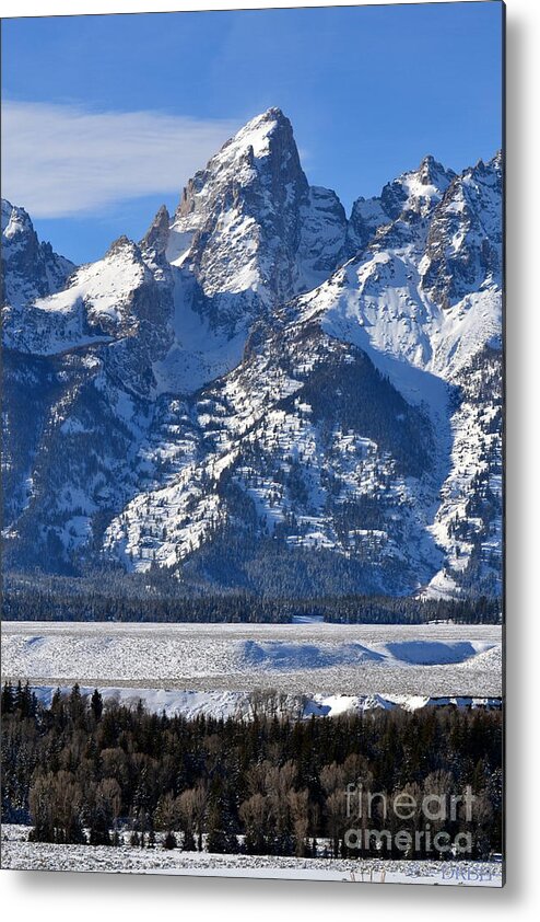 Mountains Metal Print featuring the photograph Grand Teton by Dorrene BrownButterfield