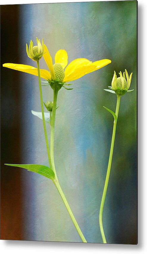Flowers Metal Print featuring the photograph Greeting The Day by Fraida Gutovich