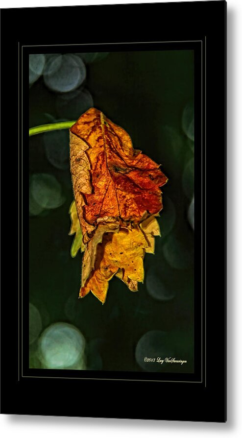 Fall Leaves Photograph Metal Print featuring the photograph Hanging Gold framed by Lucy VanSwearingen