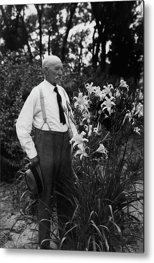 Personality Metal Print featuring the photograph Hans Peter Sass Standing Beside A Flowering Plant by Fleeta Brownell Woodroffe