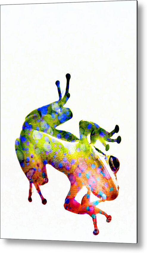 Happy Frog Metal Print featuring the digital art Happy Frog by Darla Wood