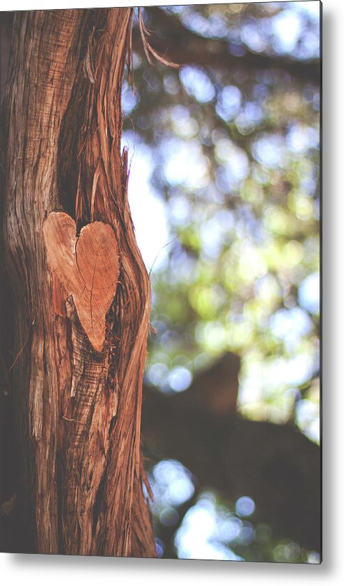 Tranquility Metal Print featuring the photograph Heart In Tree by Julia Goss