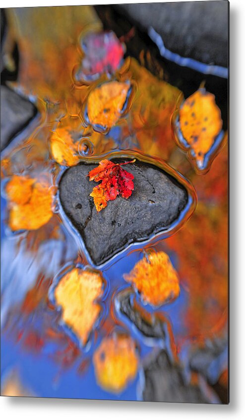 Joseph Rossbach Metal Print featuring the photograph Heart Rock Reflections by Joseph Rossbach