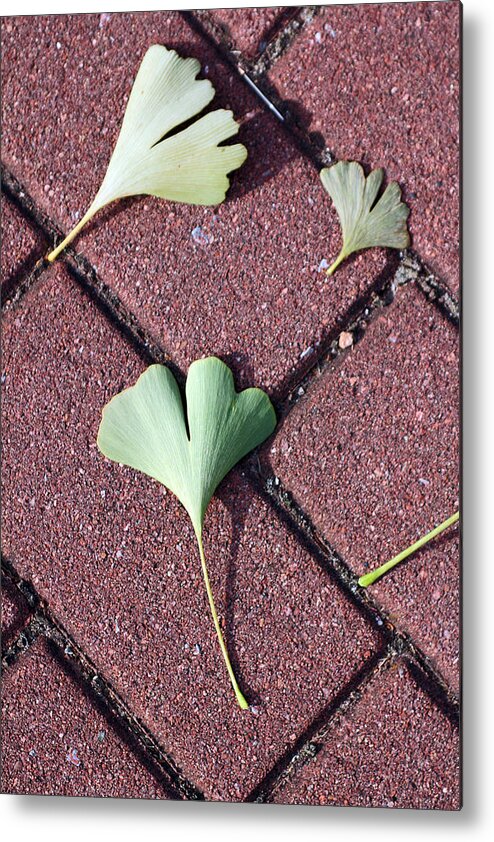Leaves Metal Print featuring the photograph Hearts on Brick by Jennifer Robin
