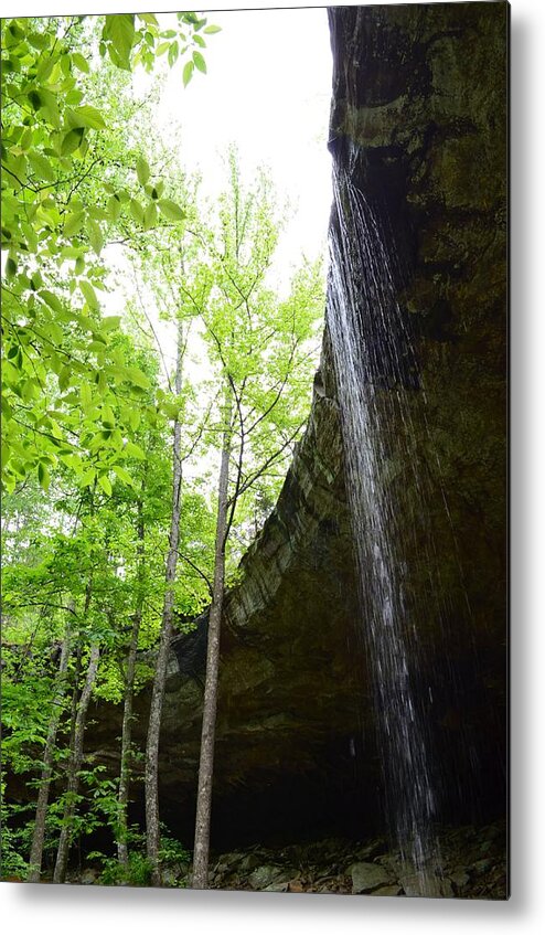 Waterfall Metal Print featuring the photograph Hideout Hollow 2 by Laureen Murtha Menzl