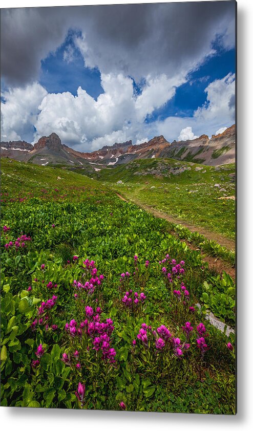 Wildflowers Metal Print featuring the photograph Hiking Ice Lake Basin by Darren White