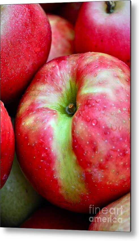 https://render.fineartamerica.com/images/rendered/default/metal-print/6.5/10/break/images-medium-5/honey-crisp-apples-gwyn-newcombe.jpg