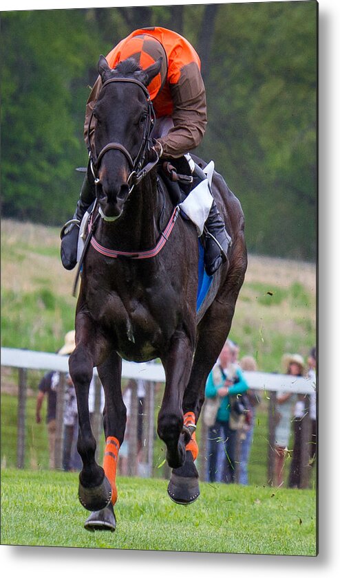 Jockey Metal Print featuring the photograph I Just Can't Look by Robert L Jackson