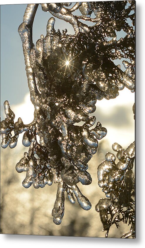 Ice Metal Print featuring the photograph Ice-5178 by Steve Somerville