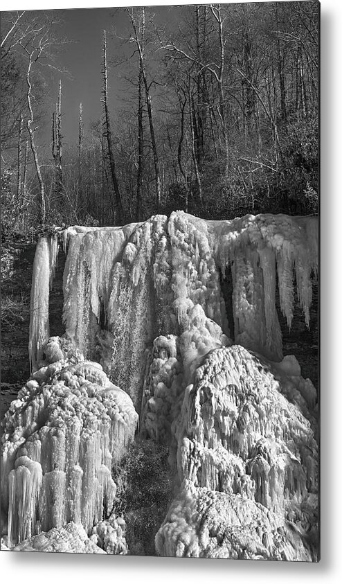 Water Metal Print featuring the photograph Ice Sculpture by Alan Raasch