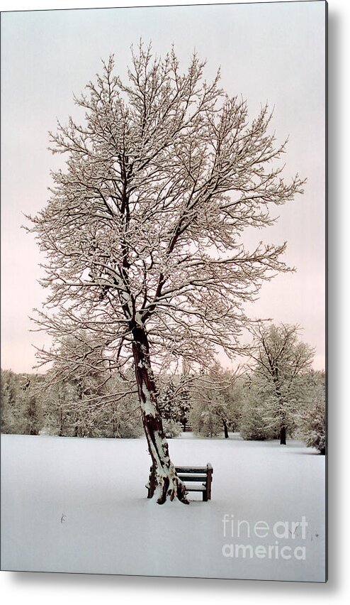 Sombre Mood Metal Print featuring the photograph IceTree by Teri Atkins Brown