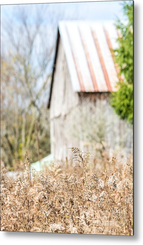 Cheryl Baxter Photography Metal Print featuring the photograph In the Distance by Cheryl Baxter