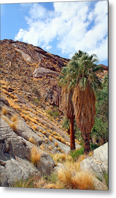 Landscape Metal Print featuring the photograph Indian Canyons View With Two Palms by Ben and Raisa Gertsberg