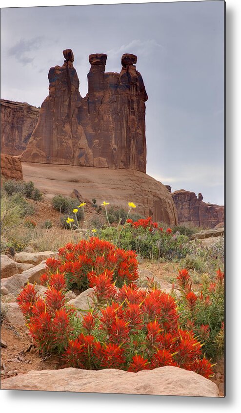 Red Rock Metal Print featuring the photograph Indian Paintbrush and the Three Gossips by Duncan Mackie