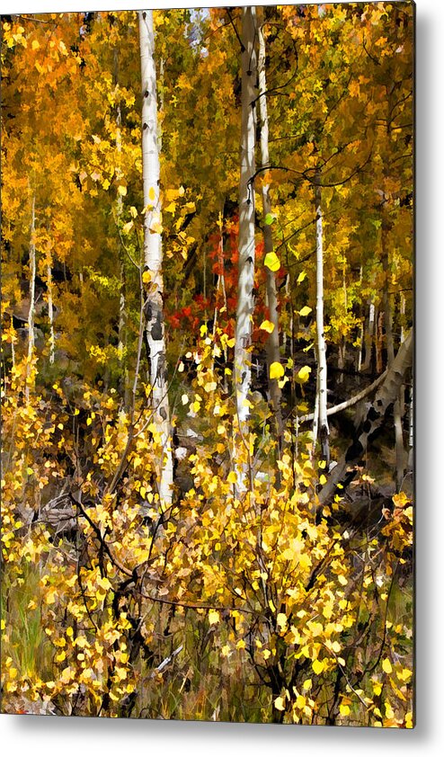 Autumn Metal Print featuring the digital art Into Autumn by Lana Trussell