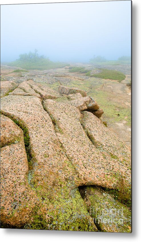 Acadia National Park Metal Print featuring the photograph Into the Fog by Tamara Becker