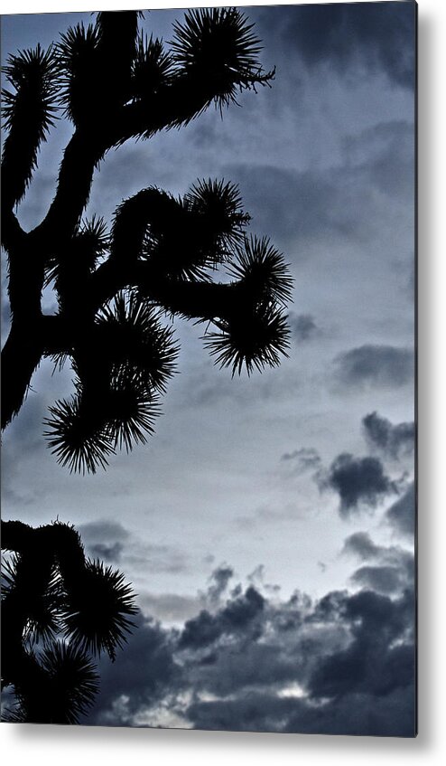 Joshua Tree Metal Print featuring the photograph Joshua Tree Silhouette by Jean Booth