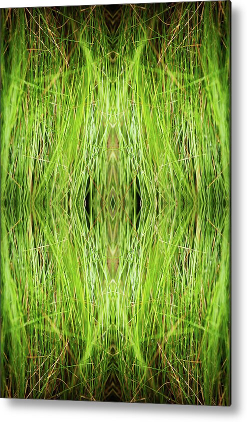 Tranquility Metal Print featuring the photograph Kaleidoscope Image Of Grass by Silvia Otte