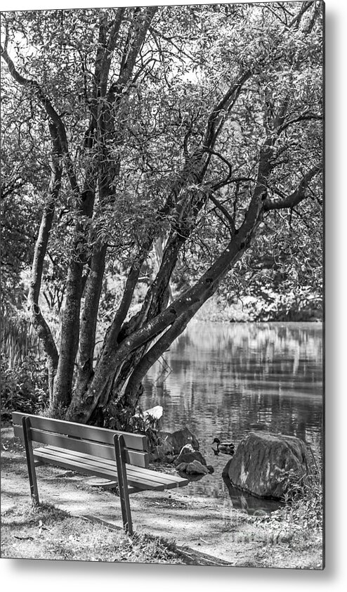 Bench Metal Print featuring the photograph Lake Bench in Black and White by Kate Brown